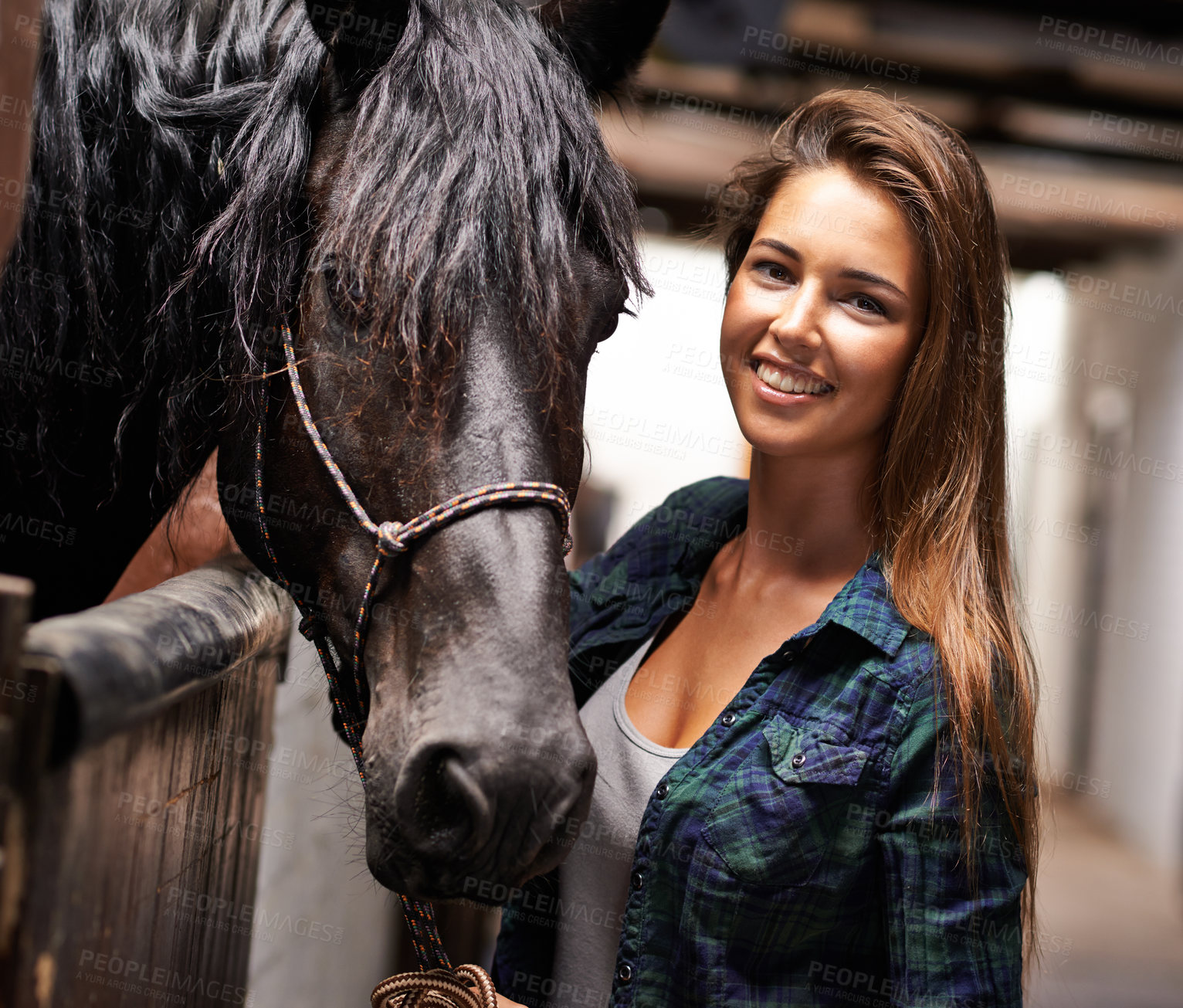 Buy stock photo Woman, portrait and happy with horse in stable for bonding, sports training and recreation in Texas. Stallion, cowgirl and animal or face on barn with smile for healthy livestock, hobby and pet care