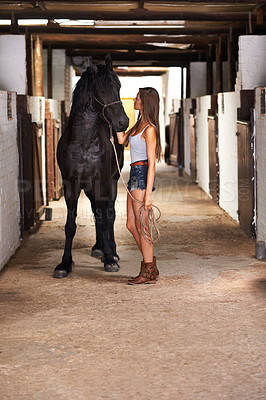 Buy stock photo Ranch, woman and horse in stable for bonding, sports training or sustainable farming in Texas with rope. Stallion, person and cowgirl with animal on farm or barn for healthy livestock, hobby and care