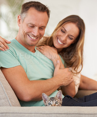 Buy stock photo Man, woman and play with kitten for pet love, support and care with trust, happiness and relax on sofa at family home. Couple with baby cat, kindness and affection with animal on couch for adoption