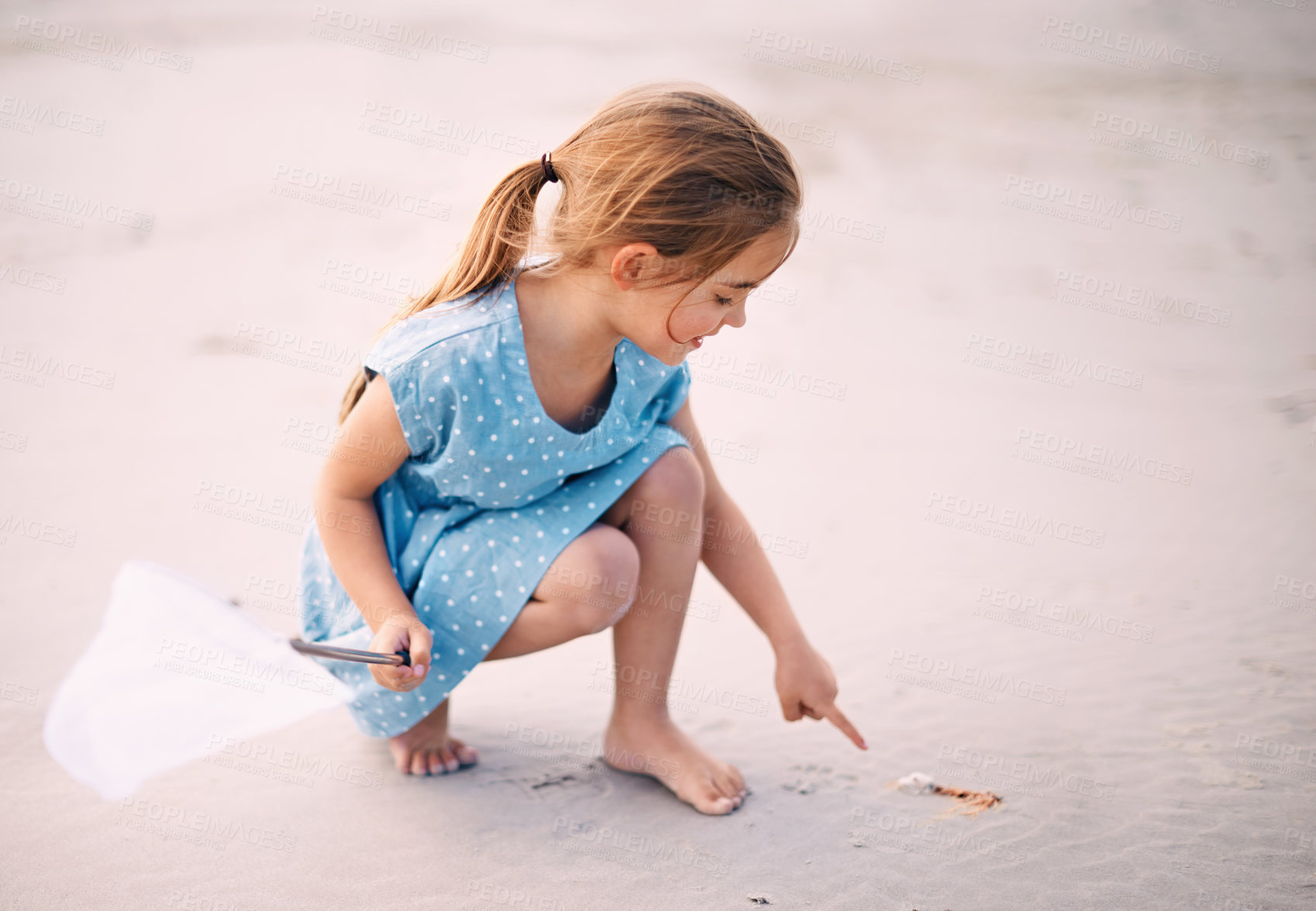 Buy stock photo Sand, seaweed and pointing with little girl at beach in summer for travel, holiday or vacation. Nature, earth and curiosity with young child outdoor at coast for adventure, discovery or exploration