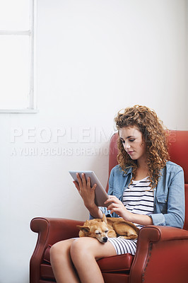 Buy stock photo Woman, tablet and relax on social media at home, online and internet for website or blogging. Female person, dog and streaming entertainment on armchair, pet animal and app for shopping on weekend