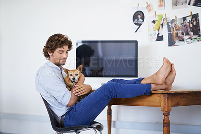 Buy stock photo Happy man, computer screen or relax with dog and feet on table or technology mock up for online publisher. Young guy, care and desktop for company logo with pet and love for chihuahua in living room