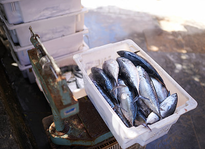 Buy stock photo Fish market, pier and fresh food for nutrition, protein and marine wildlife in diet for minerals. Crate, seafood and ingredient for cooking and omega vitamins, outdoors and uncooked meal at harbor