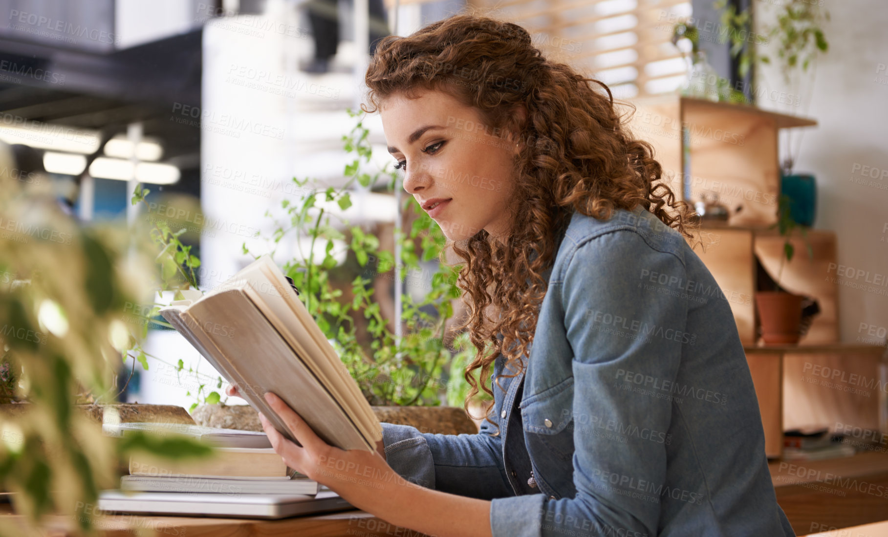Buy stock photo University, reading and woman with book in cafeteria for knowledge with literature in morning. Diner, student and female person studying novel or story for assignment, test or exam in restaurant.