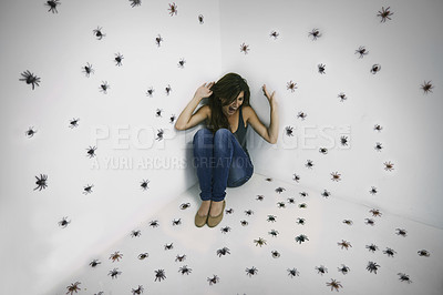 Buy stock photo Woman, spiders and scream in fear at studio for arachnophobia problem, scared or shouting. Female person, insects and trapped with struggle suffering for danger panic or terror, poisonous or horror