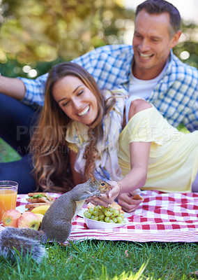 Buy stock photo Couple, picnic and squirrel in outdoor nature, love and romance in relationship on weekend. Mature man, woman and people on date in countryside, smile and adventure in forest or happy on vacation