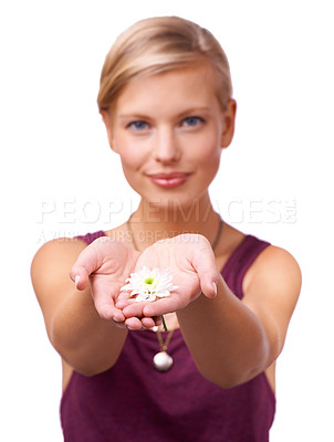Buy stock photo Studio, young woman and giving a daisy by white background for scent of perfume for botanicals. Model, present and new beginning with flower or love and kindness with floral plant for accountability