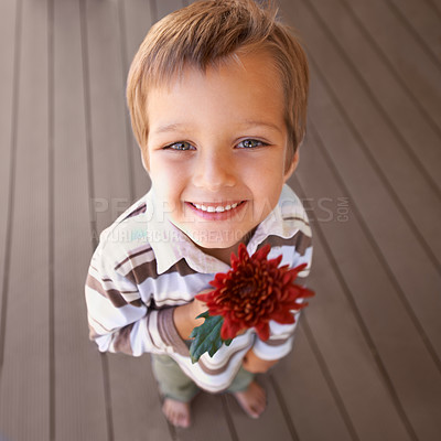 Buy stock photo Shot of a cute little boy holding a red flower