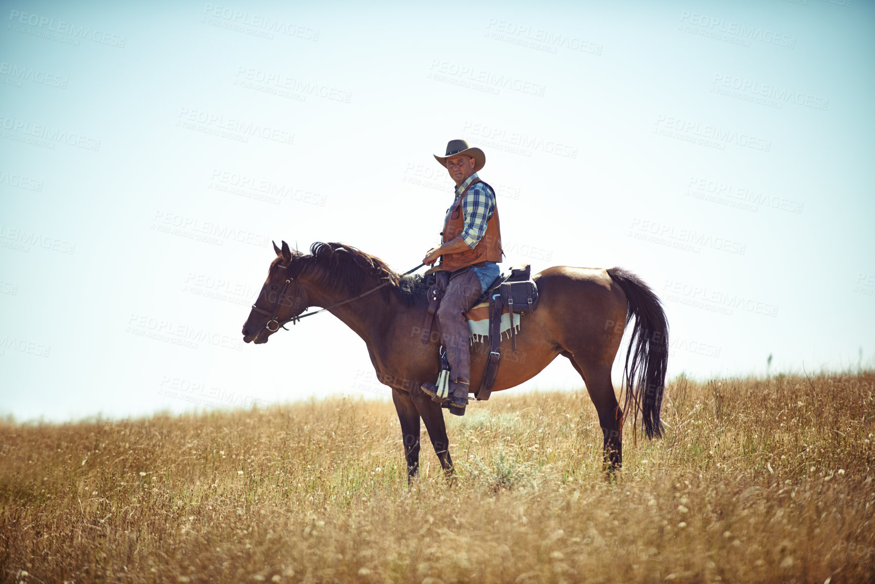Buy stock photo Man, horse and countryside field as cowboy for adventure riding in Texas meadow for explore farm, exercise or training. Male person, animal and stallion in rural environment on saddle, ranch or hobby