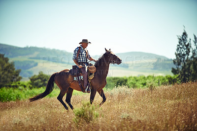 Buy stock photo Cowboy, western and man riding horse with saddle on field in countryside for equestrian or training. Nature, summer and rodeo with mature horseback rider on animal at ranch outdoor in rural Texas