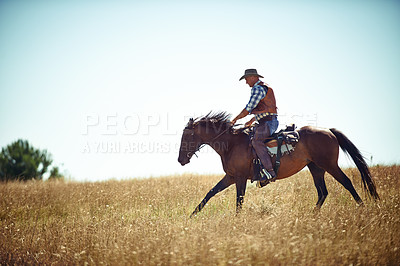 Buy stock photo Cowboy, blue sky and man riding horse with saddle on field in countryside for equestrian or training. Nature, summer and fresh air with person or horseback rider on animal outdoor in rural Texas