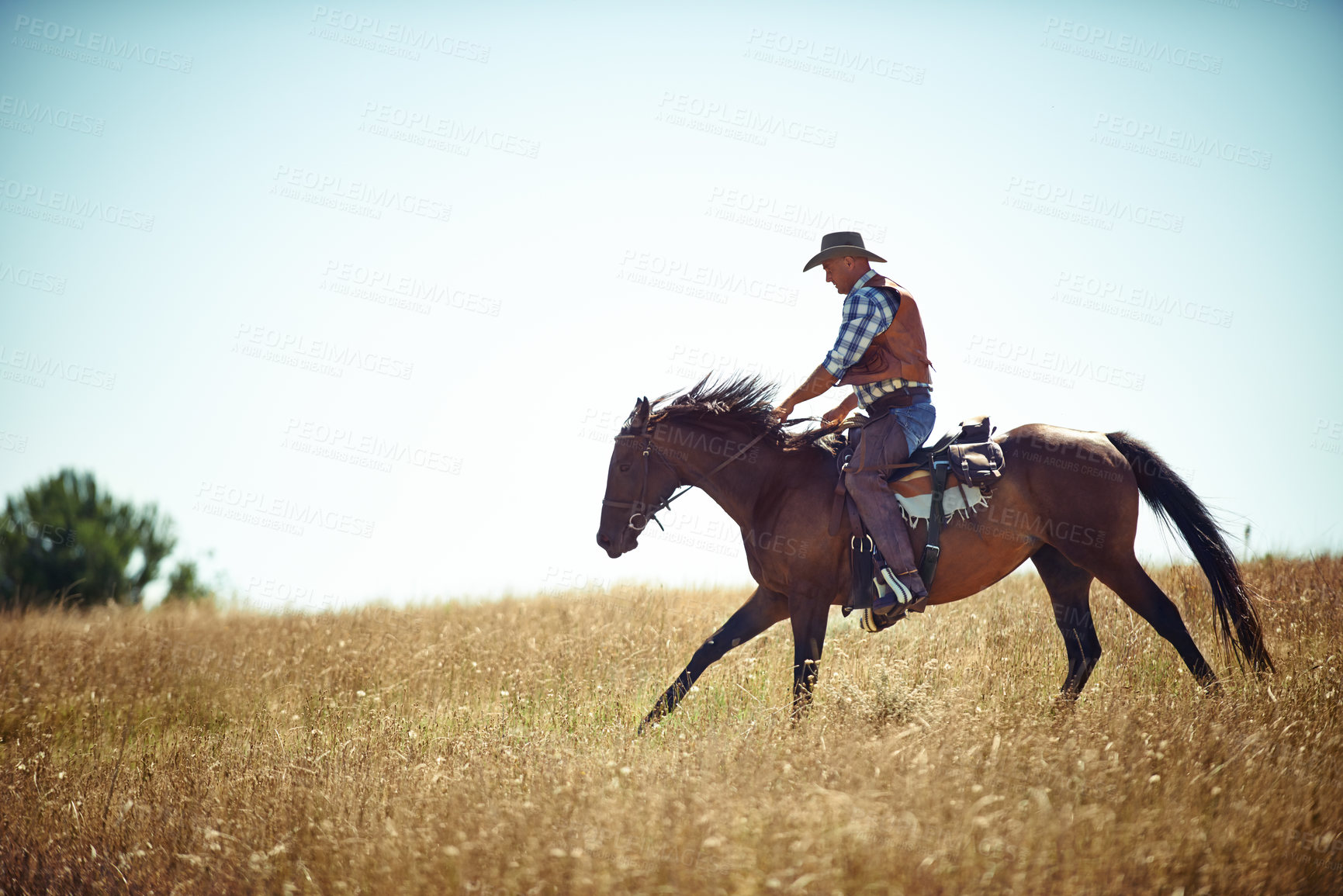 Buy stock photo Cowboy, blue sky and man riding horse with saddle on field in countryside for equestrian or training. Nature, summer and fresh air with person or horseback rider on animal outdoor in rural Texas