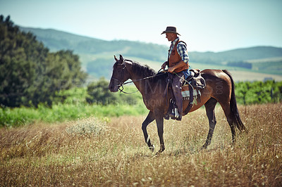 Buy stock photo Meadow, western and cowboy riding horse with hat on field in countryside for equestrian or training. Nature, summer and rodeo with mature man on horseback saddle at ranch outdoor in rural Texas