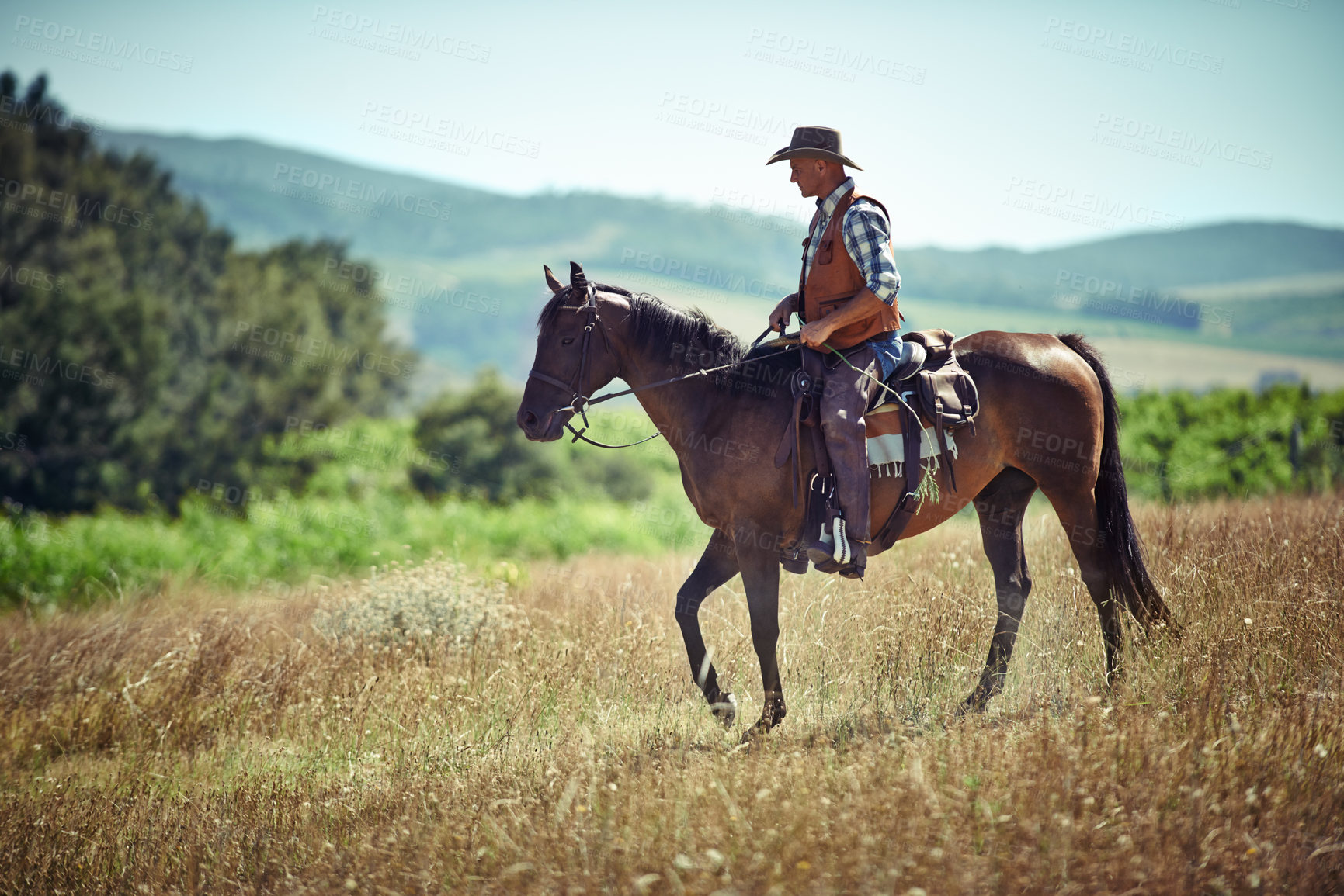 Buy stock photo Meadow, western and cowboy riding horse with hat on field in countryside for equestrian or training. Nature, summer and rodeo with mature man on horseback saddle at ranch outdoor in rural Texas