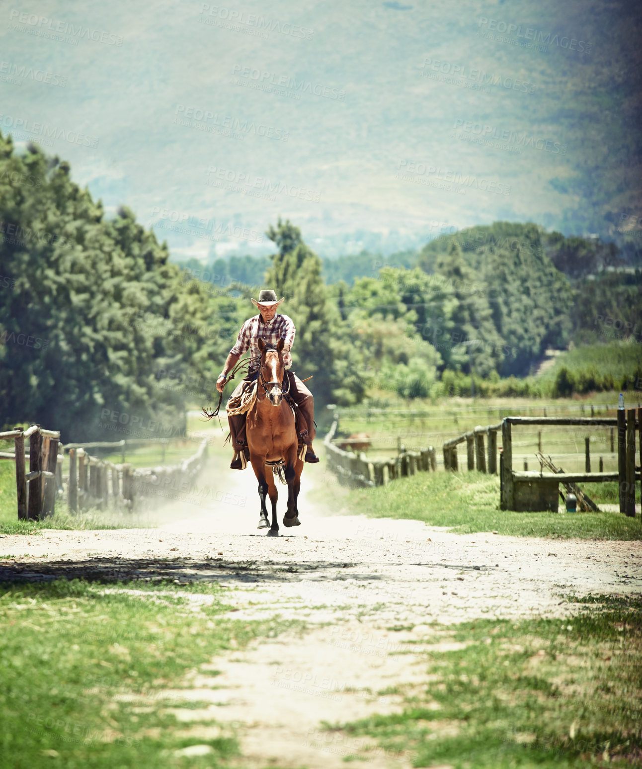Buy stock photo Cowboy, saddle and man riding horse with speed on field in countryside for equestrian or training. Nature, summer and running with mature horseback rider on animal at ranch outdoor in rural Texas
