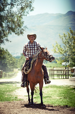 Buy stock photo Portrait, cowboy and horse riding with mature man on saddle on field in countryside for equestrian or training. Nature, summer and hobby with horseback rider on animal at ranch outdoor in rural Texas