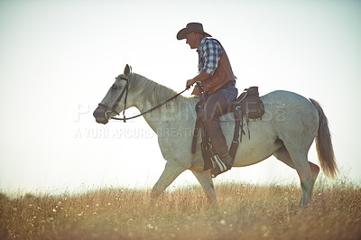 Buy stock photo Man, horse riding and countryside field as cowboy for adventure in Texas meadow to explore land, exercise or training. Male person, animal and stallion in rural environment on saddle, ranch or hobby