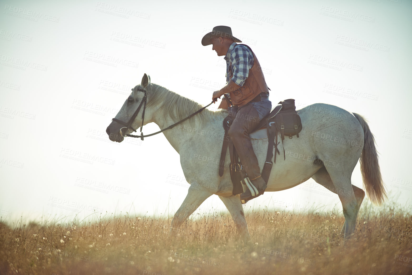 Buy stock photo Man, horse riding and countryside field as cowboy for adventure in Texas meadow to explore land, exercise or training. Male person, animal and stallion in rural environment on saddle, ranch or hobby