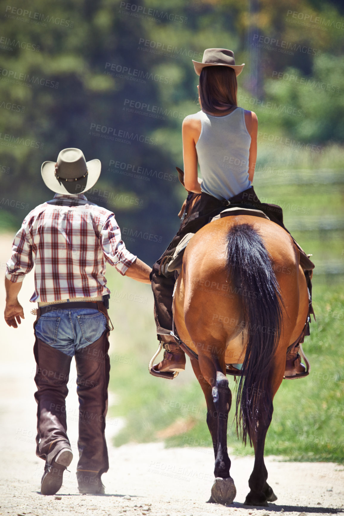 Buy stock photo Back of woman, cowboy or horse riding on countryside farm as equestrian for training, sport or learning. Walking, teaching or people in Texas, outdoor environment or stable for practice on saddle