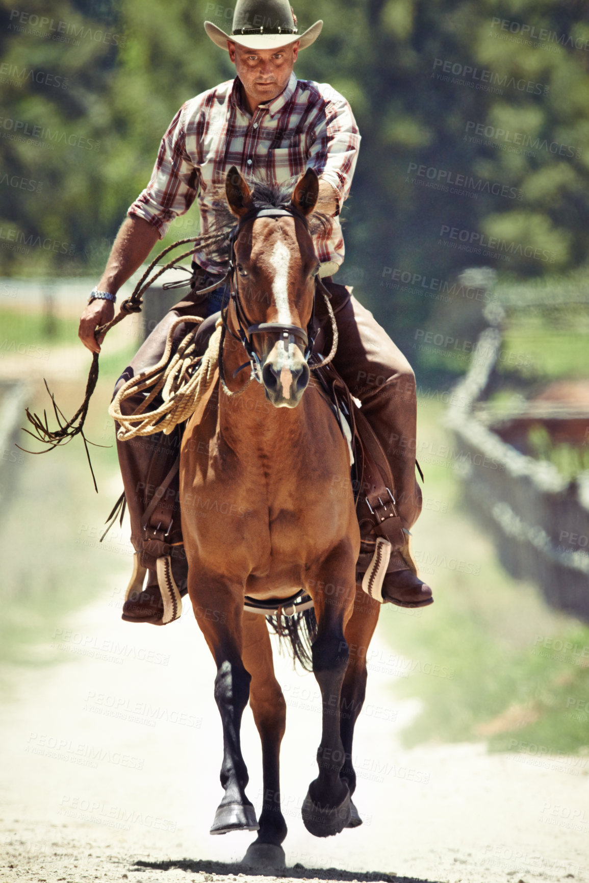 Buy stock photo Cowboy, running and man riding horse with saddle on field in countryside for equestrian or training. Nature, summer and speed with mature horseback rider on animal at ranch outdoor in rural Texas