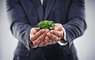 Buy stock photo Shot fo a business man holding a plant