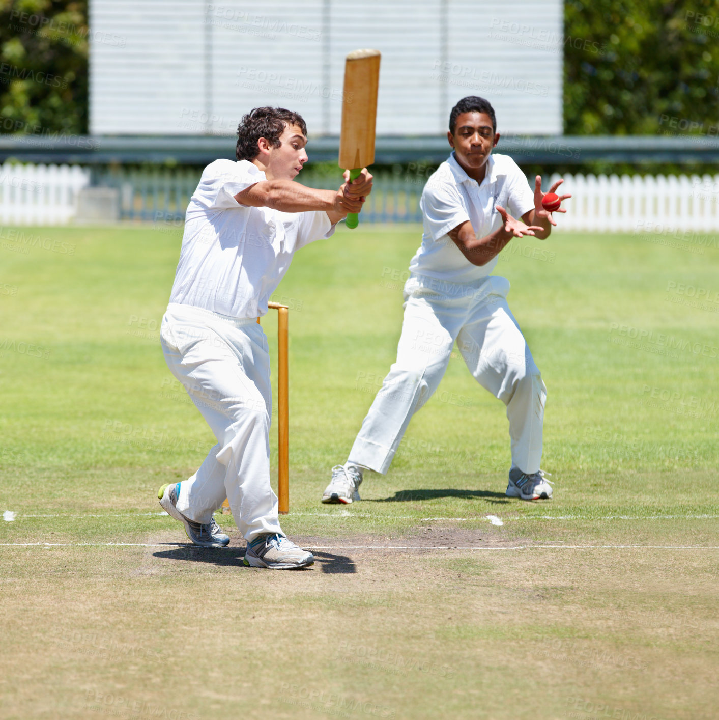 Buy stock photo Group, cricket and boys with teamwork, sports and competition with exercise and wellness. Players, game or players with fun or fitness with sunshine or summer with ball or bat with training or health