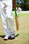 Cricket can be fiercely competitive