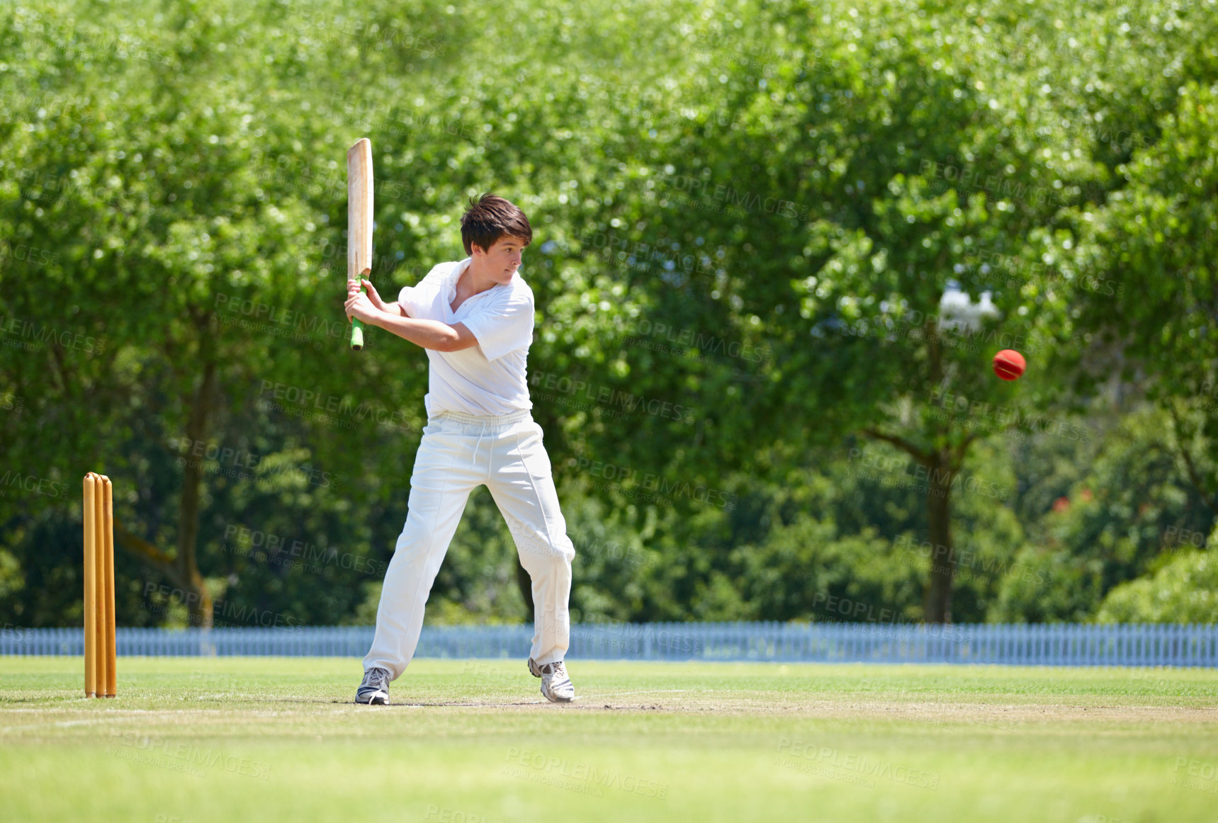 Buy stock photo Cricket field, game and teenager with sports, batting and fun with competition and grass with sunshine. Person, athlete or player with ball or exercise with training or practice with summer fitness