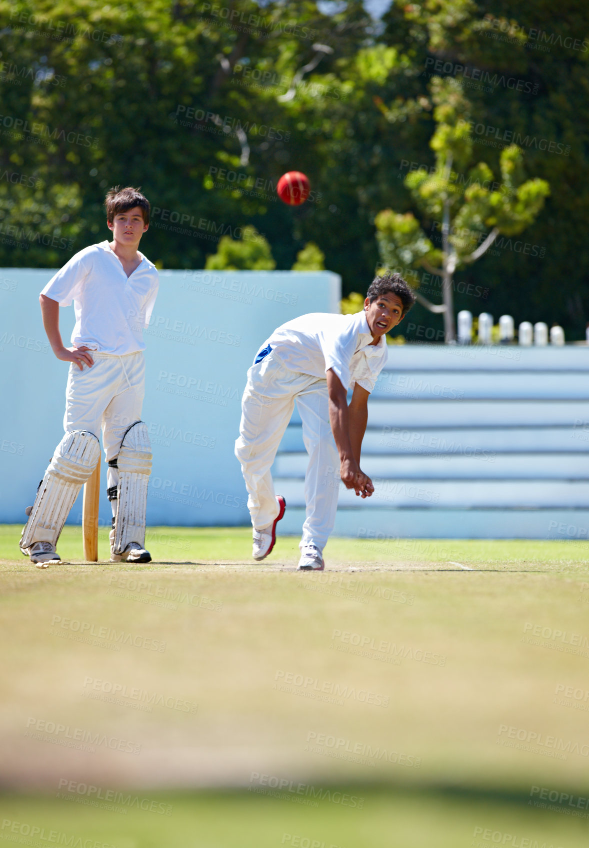 Buy stock photo Group, cricket and boys with teamwork, game and competition with exercise and summer. Players, wellness or people with fun or fitness with sunshine or health with ball or bat with training or sports