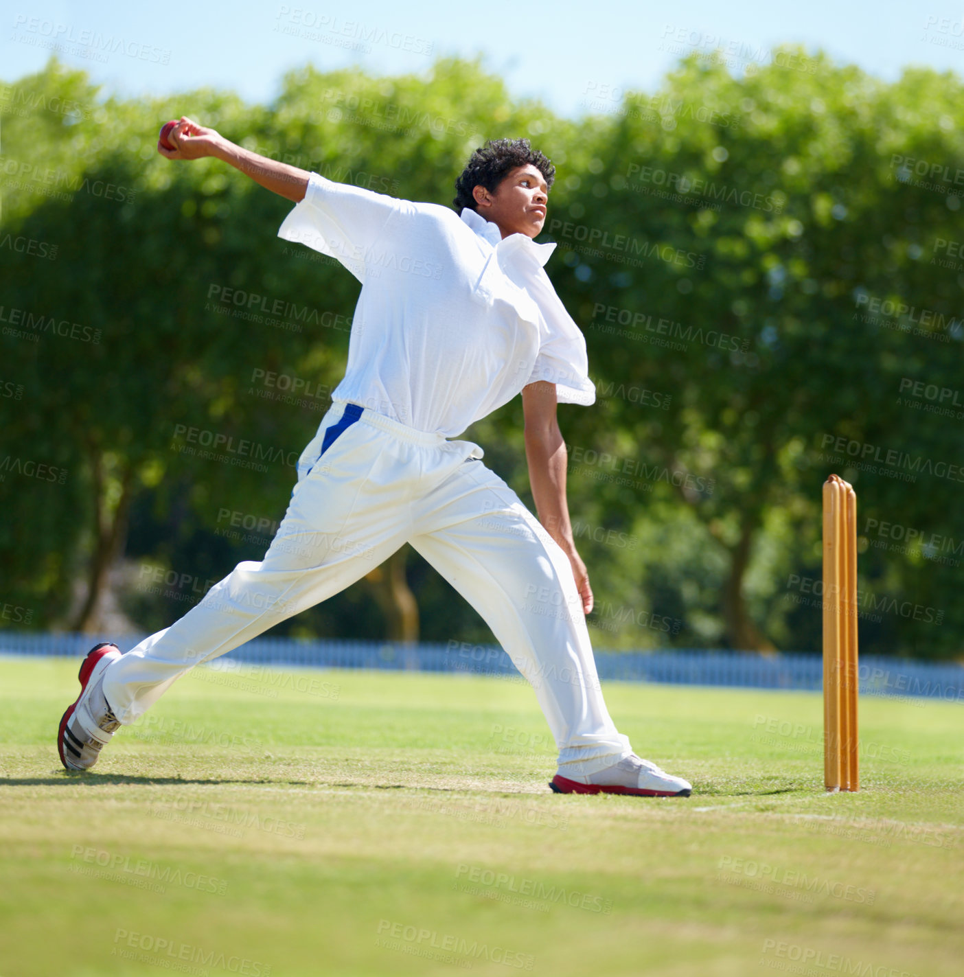 Buy stock photo Cricket field, game and man with sports, action and fun with competition and grass with cardio. Person, athlete and player with a ball and exercise with training or practice with summer and sunshine