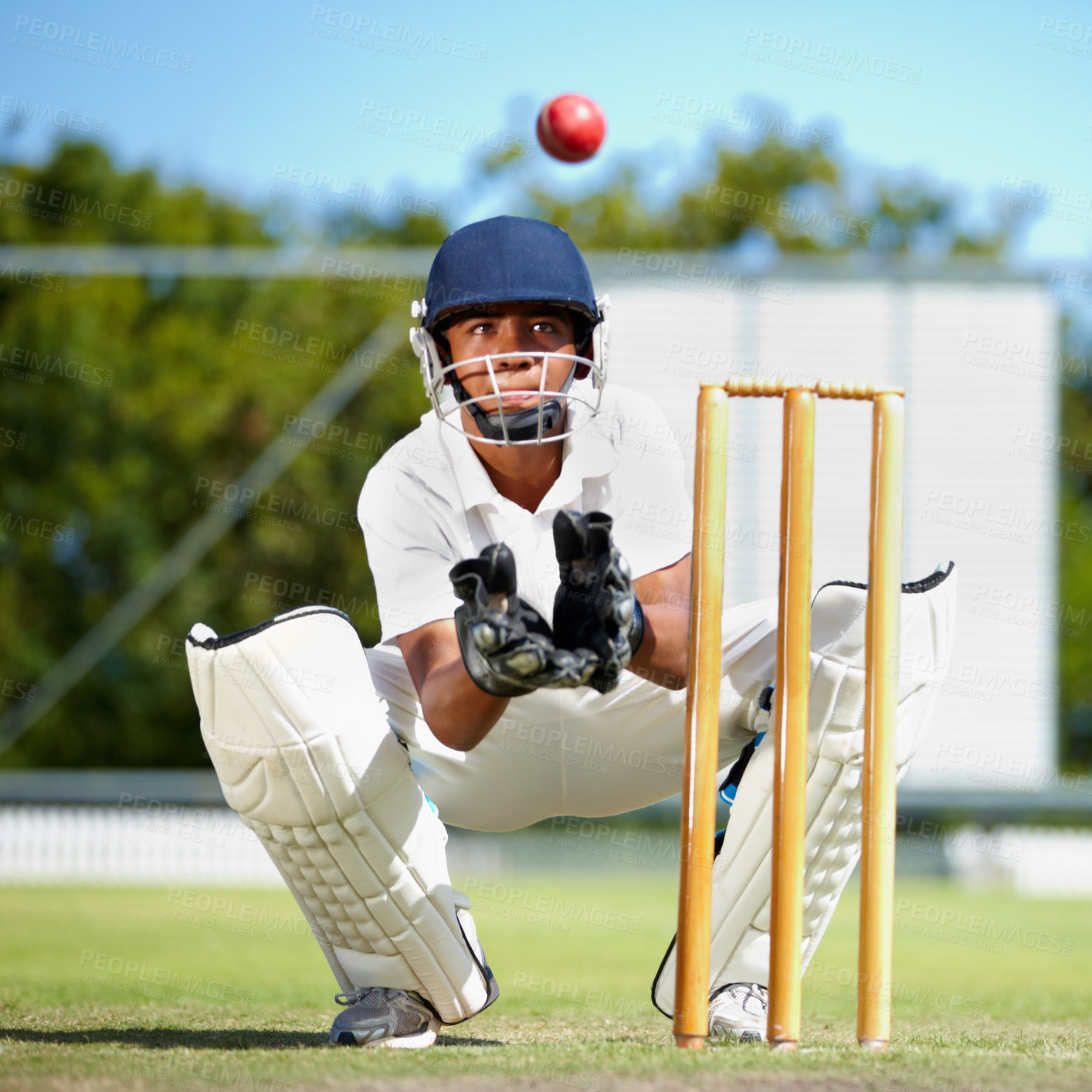 Buy stock photo Shot of a young cricket player outdoors