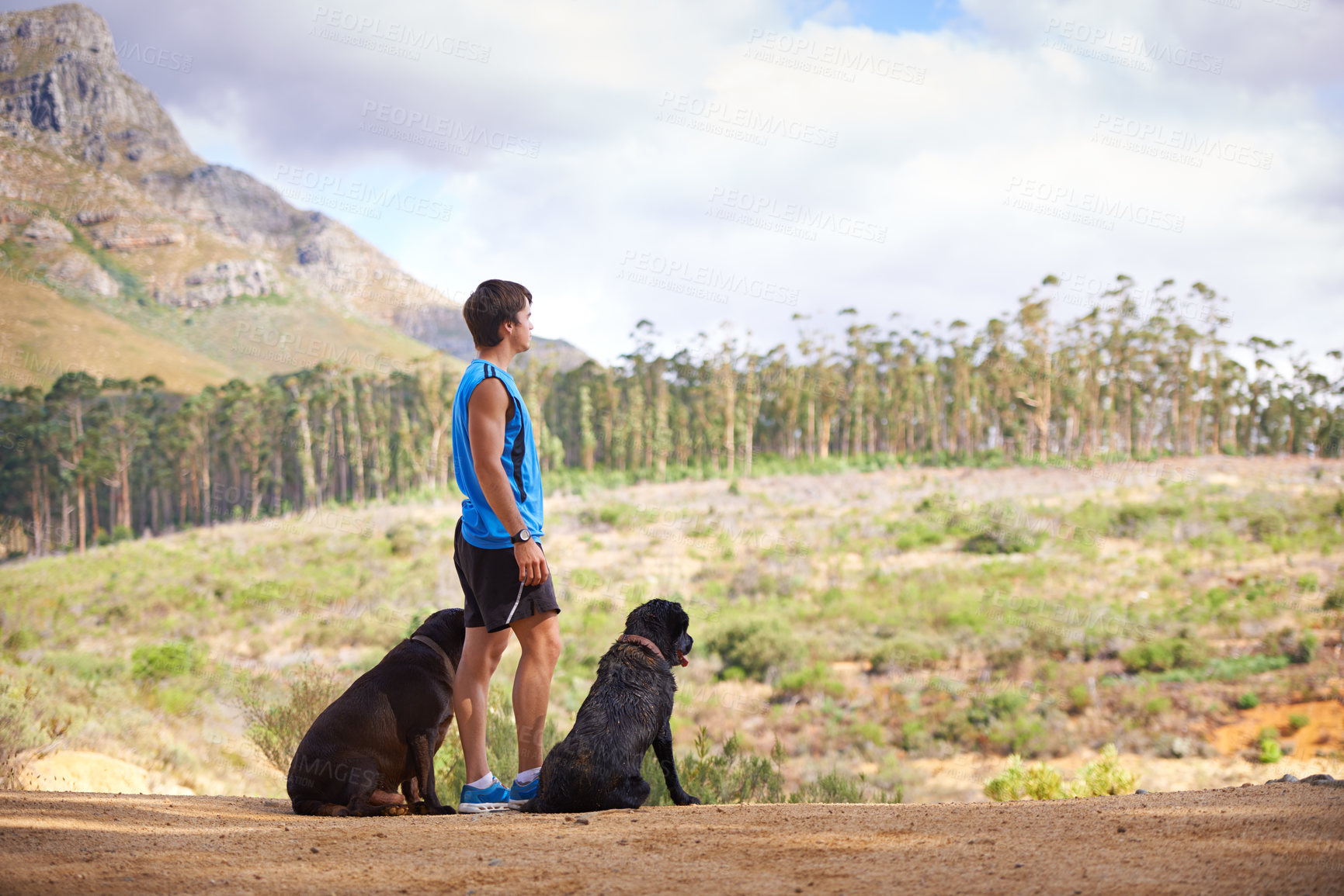 Buy stock photo Nature, mountain and man with dogs for fitness, exercise and morning run on path in Portugal. Trees, athlete and pets in forest for companion with workout, hiking or training for healthy body