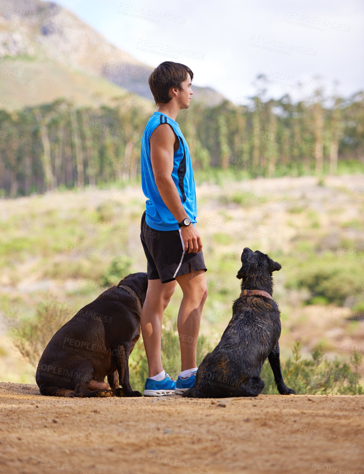 Buy stock photo Nature, mountain and athlete with dogs for exercise, fitness and morning run on path in Portugal. Trees, man and pets in forest for companion with workout, training or hiking for healthy body