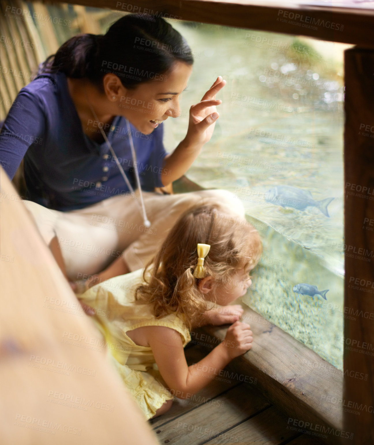 Buy stock photo A mother and daughter looking at fish at an aquarium