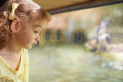 Buy stock photo Little girl, glass and aquarium with fish to explore for sightseeing or watching sea animals in captivity. Female person, child or kid looking at window or tank of water creatures or species at zoo