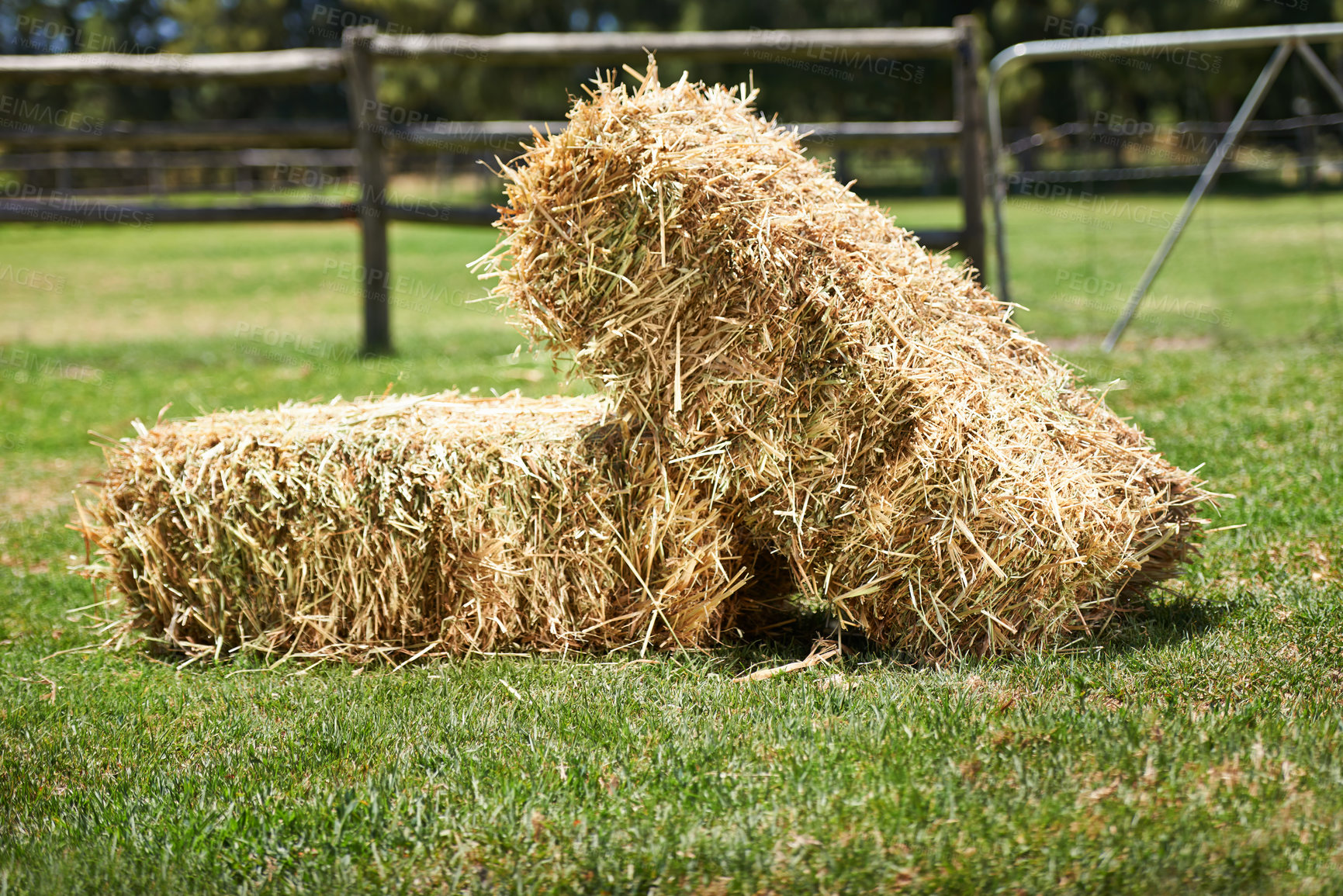 Buy stock photo Hay, field and horse paddock for natural, wheat and sustainable animal ranch in Texas. Grass, nature and agriculture in countryside area, feed bales and eco friendly farm land in United states