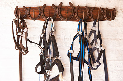 Buy stock photo Shot of riding tack hanging from a wall