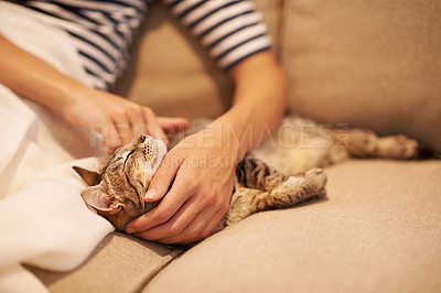 Buy stock photo A young woman sitting at home with her cat