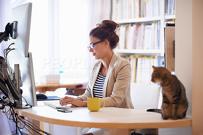 Buy stock photo Shot of a young woman working on her computer from home while her cat looks on
