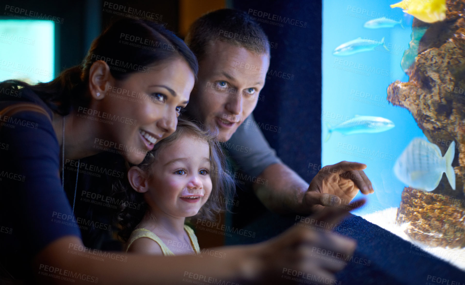 Buy stock photo Cropped shot of a little girl on an outing to the aquarium