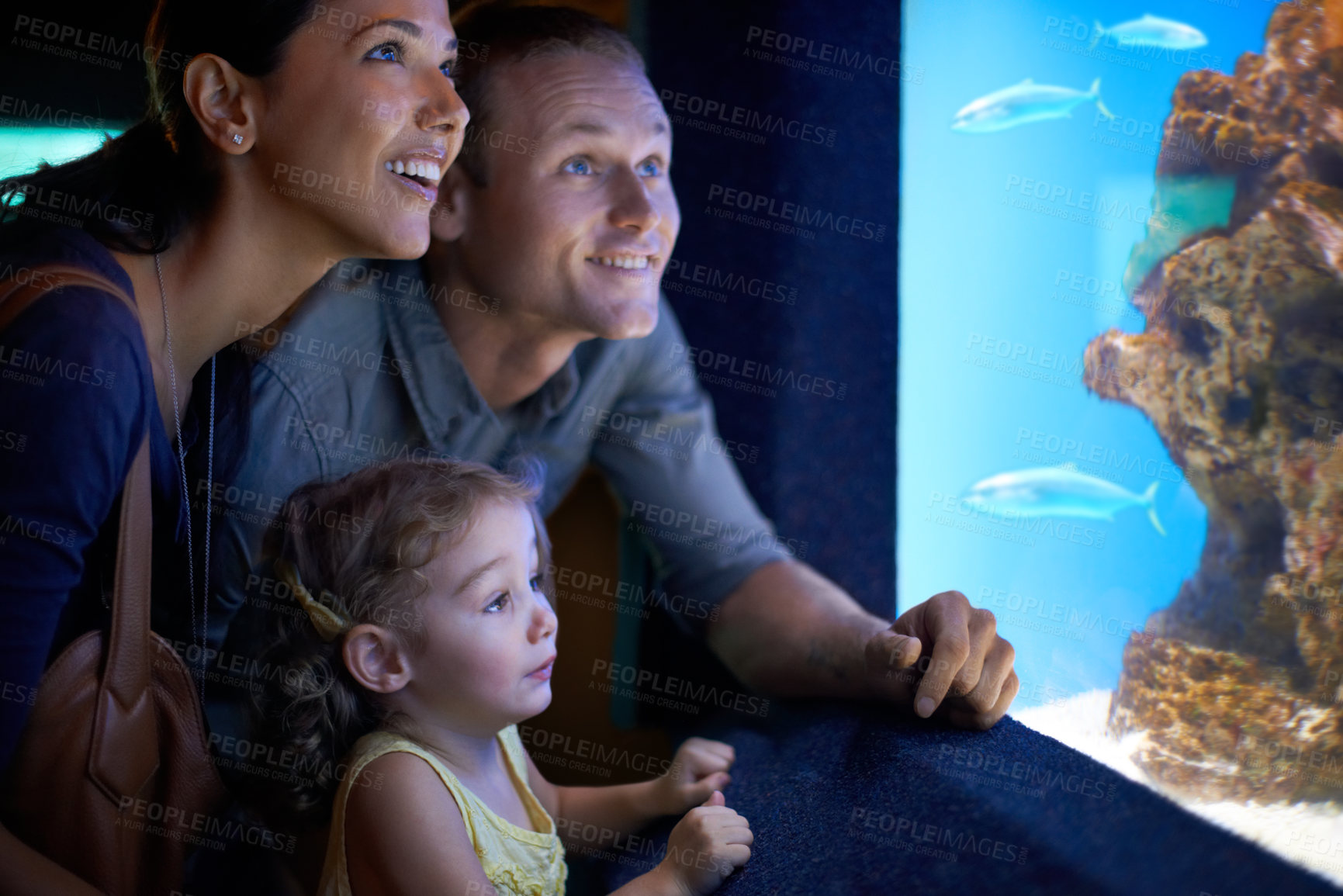 Buy stock photo Cropped shot of a little girl on an outing to the aquarium