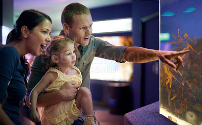 Buy stock photo Aquarium, family and happy child with fish for learning, curiosity or knowledge, bonding or education. Mother, fishtank and girl with father pointing at marine animals underwater in oceanarium.