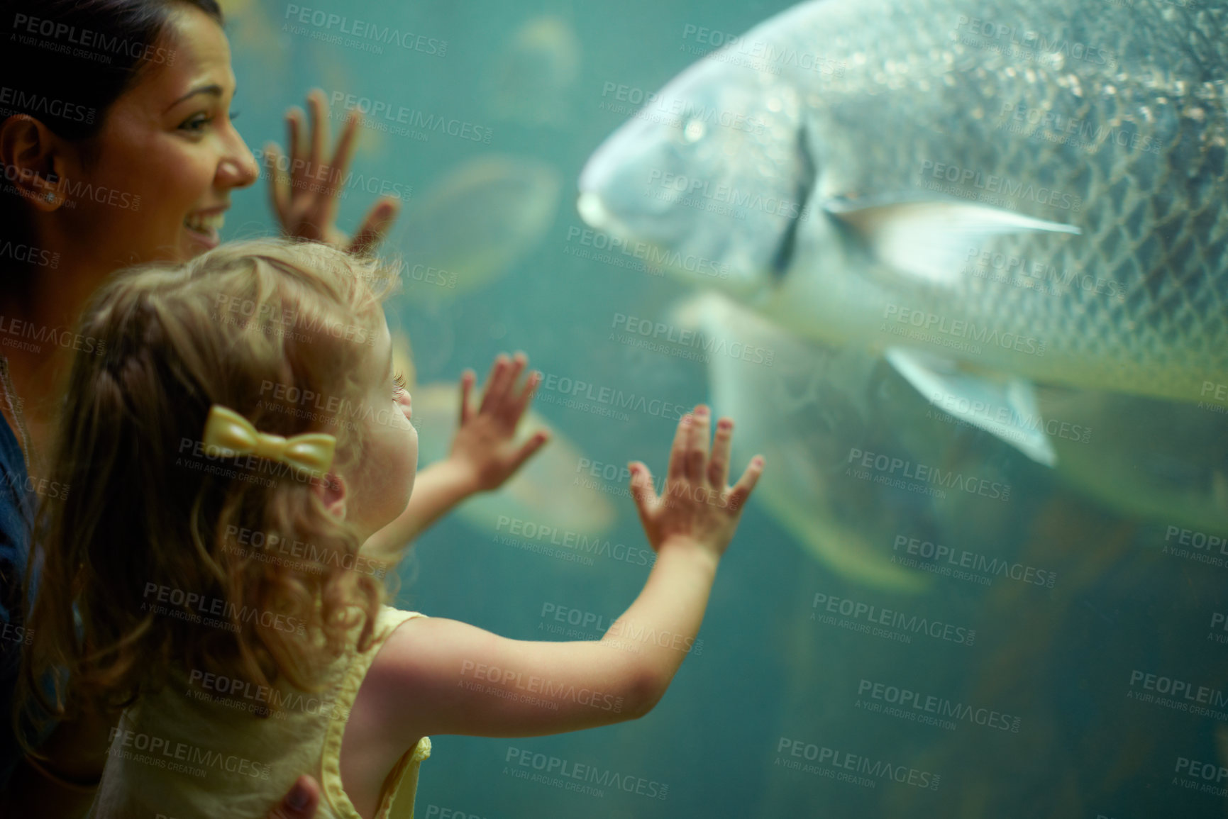 Buy stock photo Mother, aquarium and child looking at fish for learning, curiosity and knowledge, education and bonding. Mom, fishtank and happy girl watching marine life or animals swim underwater in oceanarium.