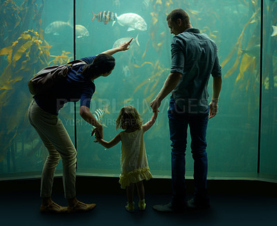 Buy stock photo Family, aquarium and holding hands while pointing at fish for learning, curiosity or knowledge, bonding or care. Father, fishtank and girl with mother watching marine animals underwater in back view.