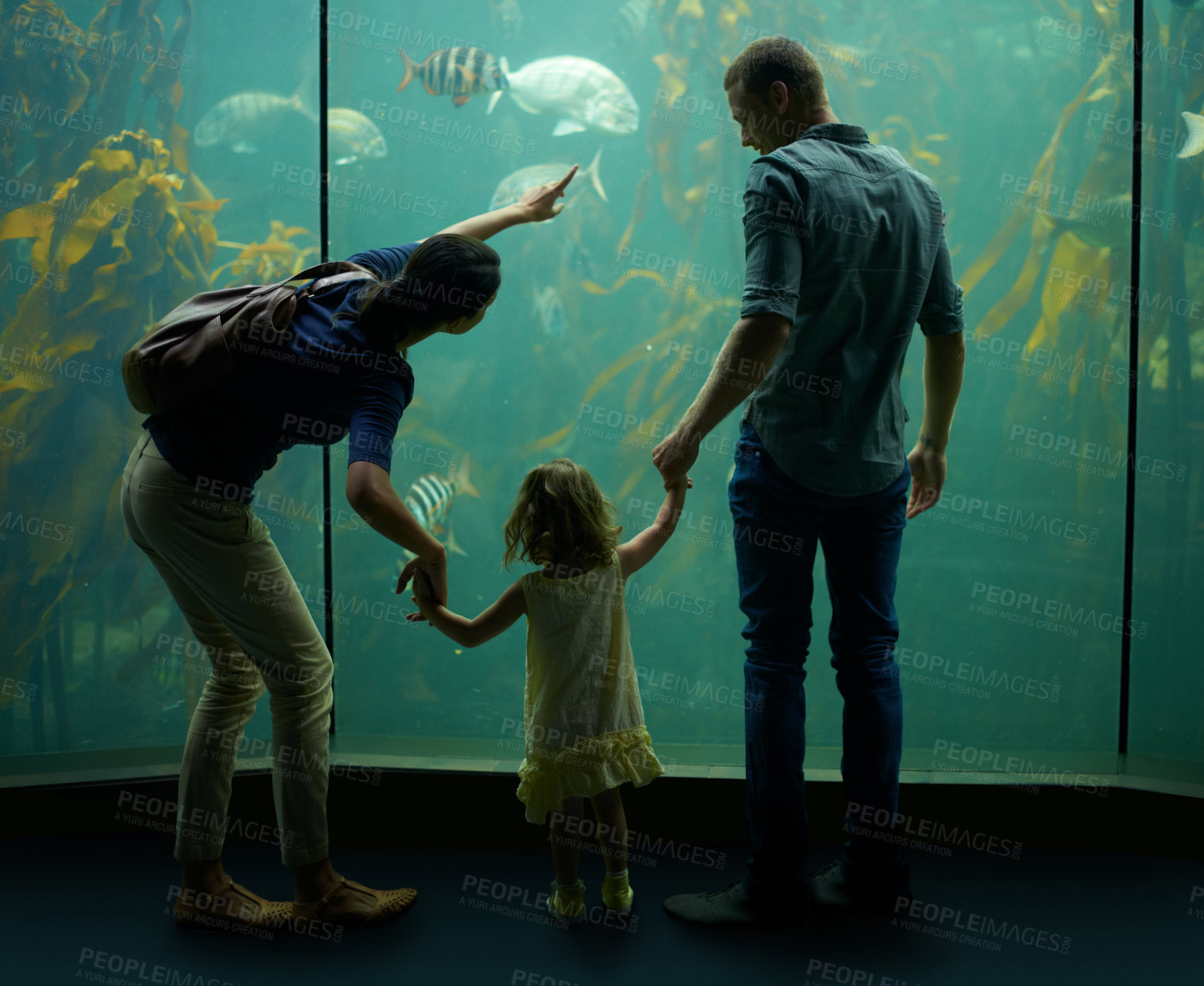 Buy stock photo Family, aquarium and holding hands while pointing at fish for learning, curiosity or knowledge, bonding or care. Father, fishtank and girl with mother watching marine animals underwater in back view.