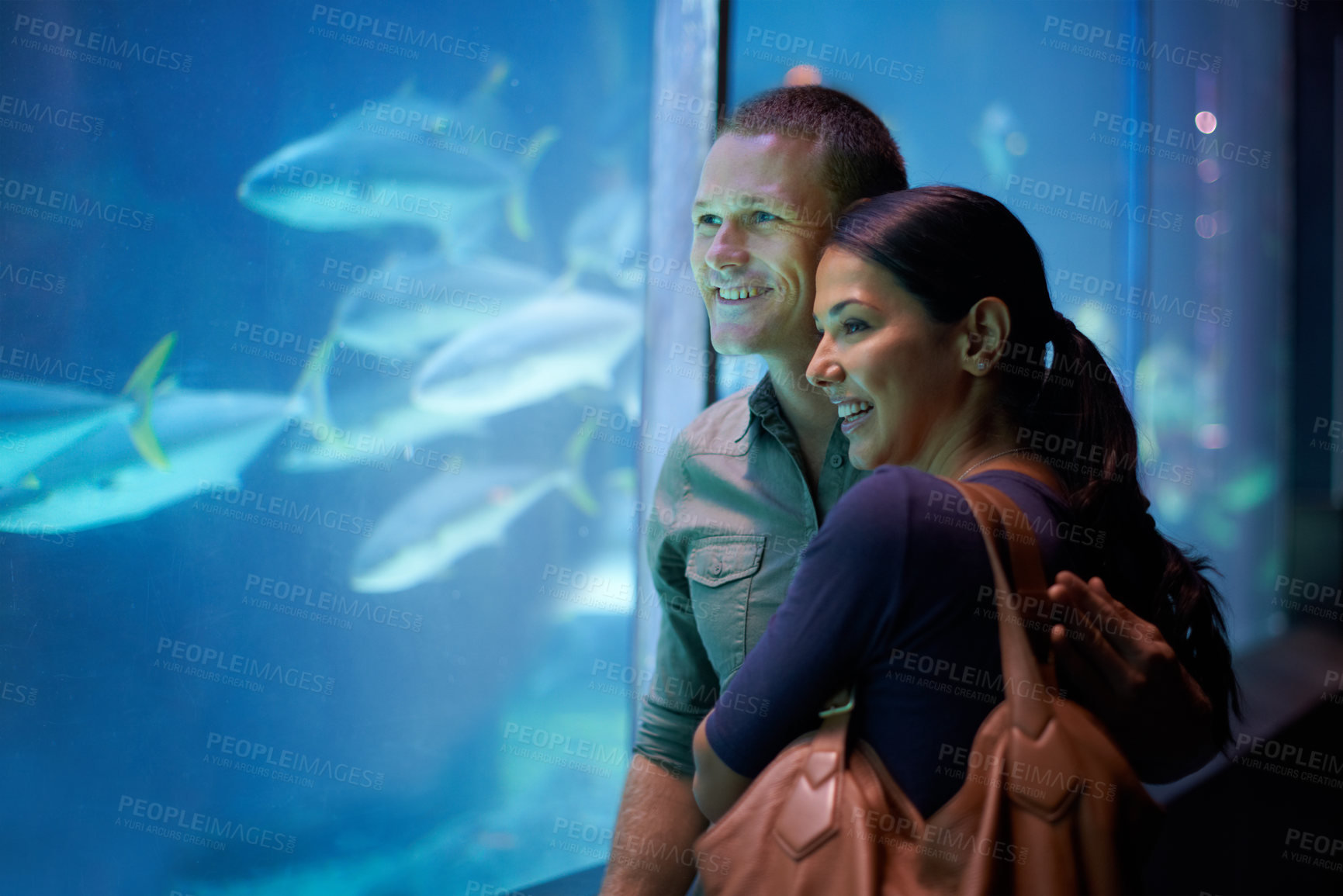 Buy stock photo Shot of a young couple looking at the fish in an aquarium