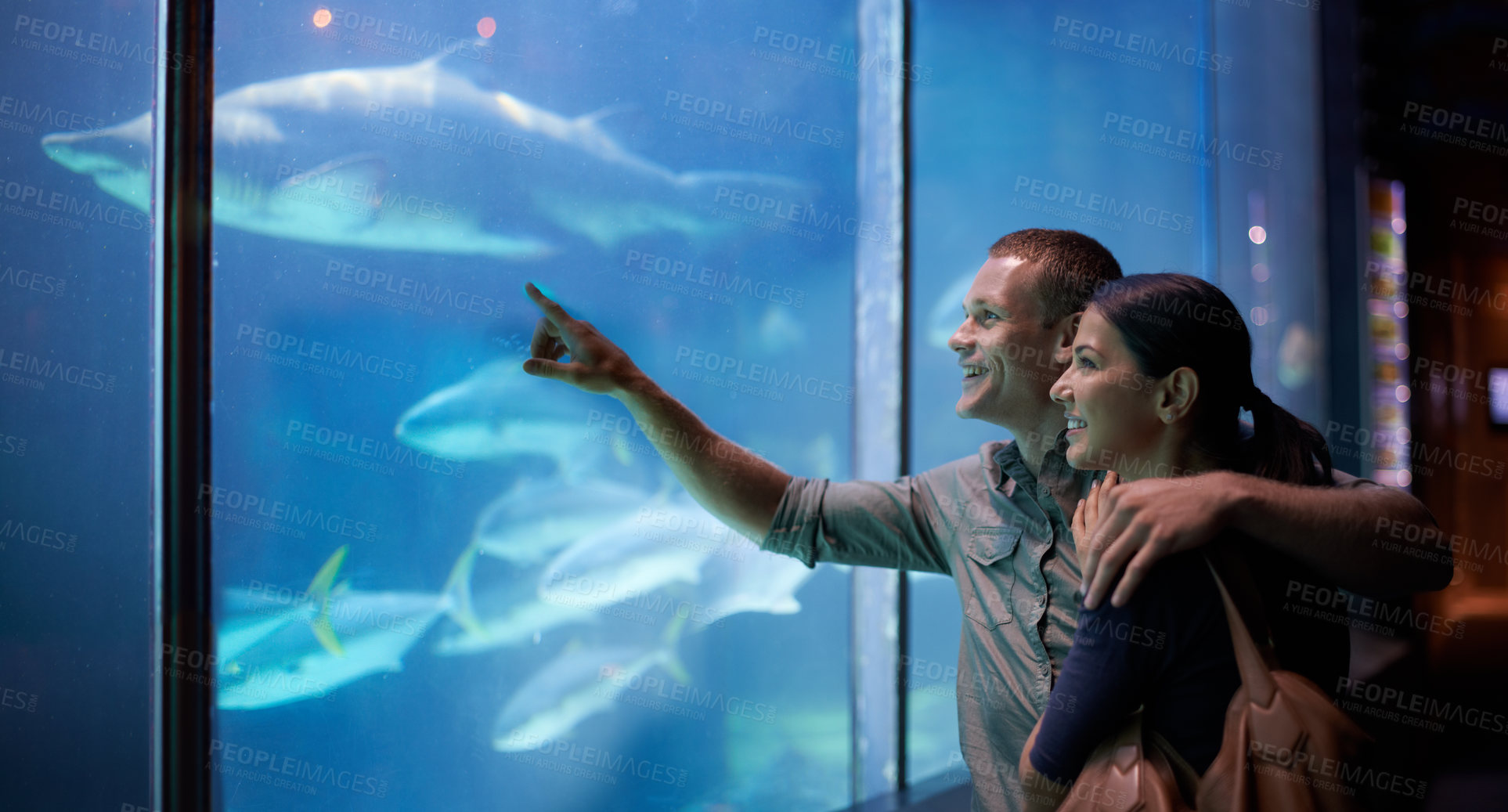 Buy stock photo Aquarium, happy and couple pointing at fish on vacation, holiday and date together. Smile, oceanarium and man and woman watching marine life, animals swimming underwater in fishtank and hugging.