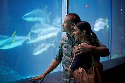 Buy stock photo Aquarium, happy and couple looking at fish on vacation, holiday or date together. Smile, oceanarium and man and woman watching marine life, animals swimming underwater in fishtank and hugging.