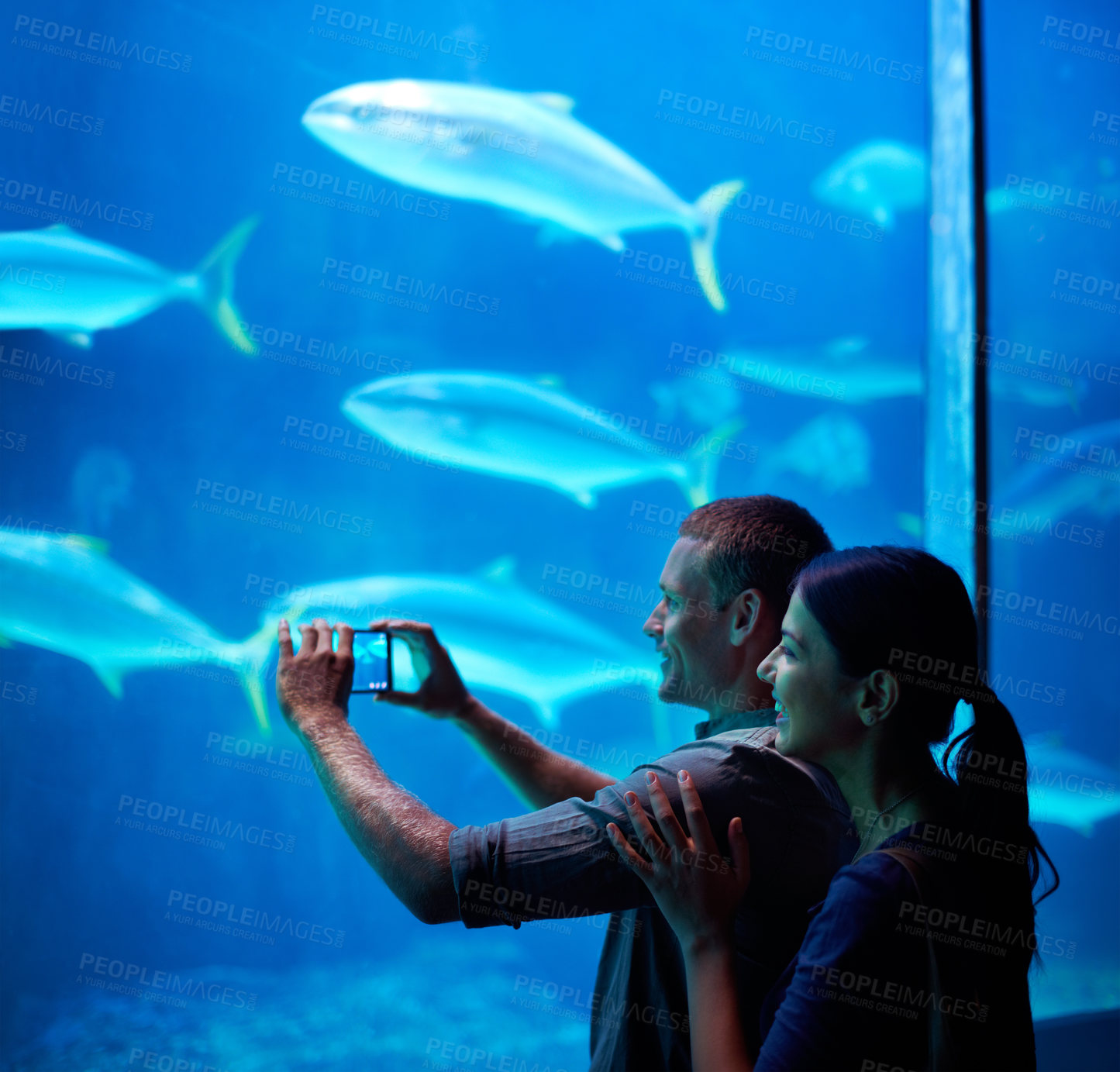 Buy stock photo Shot of a young couple taking a snapshot of the fish in an aquarium