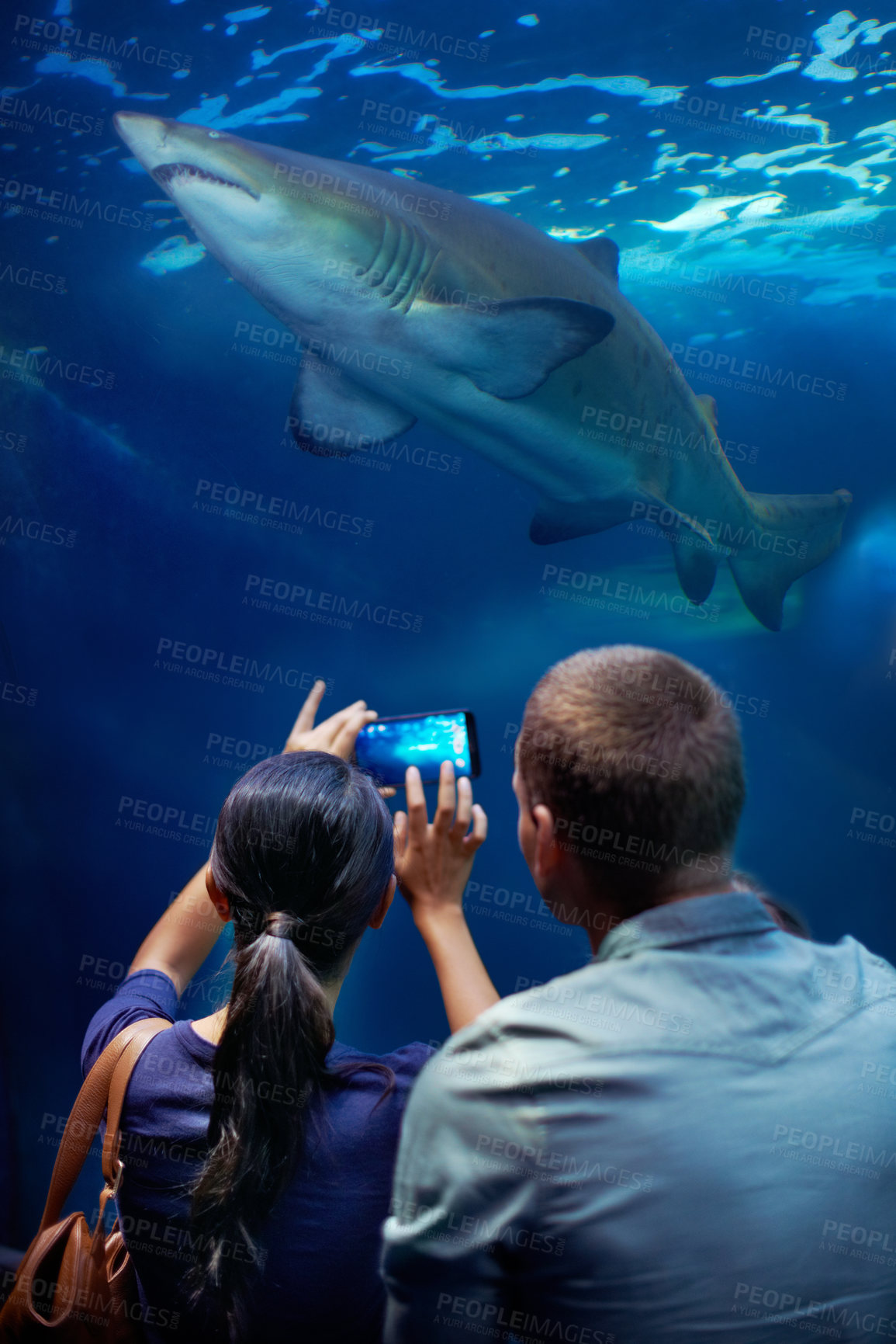 Buy stock photo Couple, aquarium and picture of shark, display and cellphone for capture of memories. Technology, photography and social media for married man and wife, animal or rescue centre for marine life  